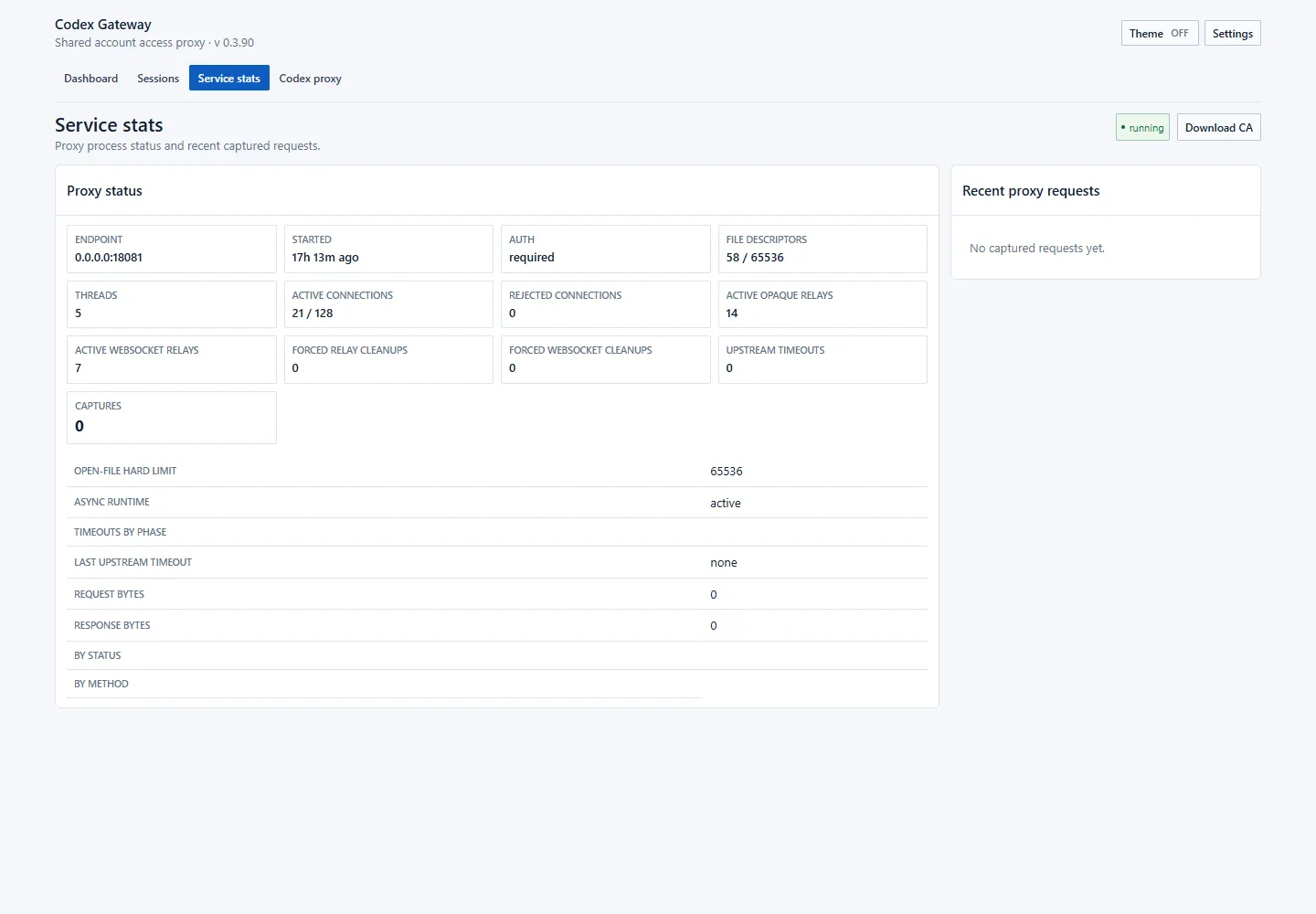 Service statistics expose Ruby proxy state, transport counters and errors without revealing secret headers.