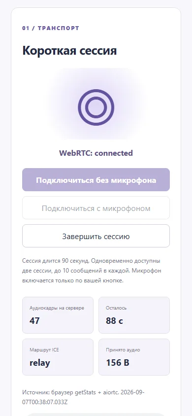 Вторая параллельная голосовая сессия на мобильном экране
